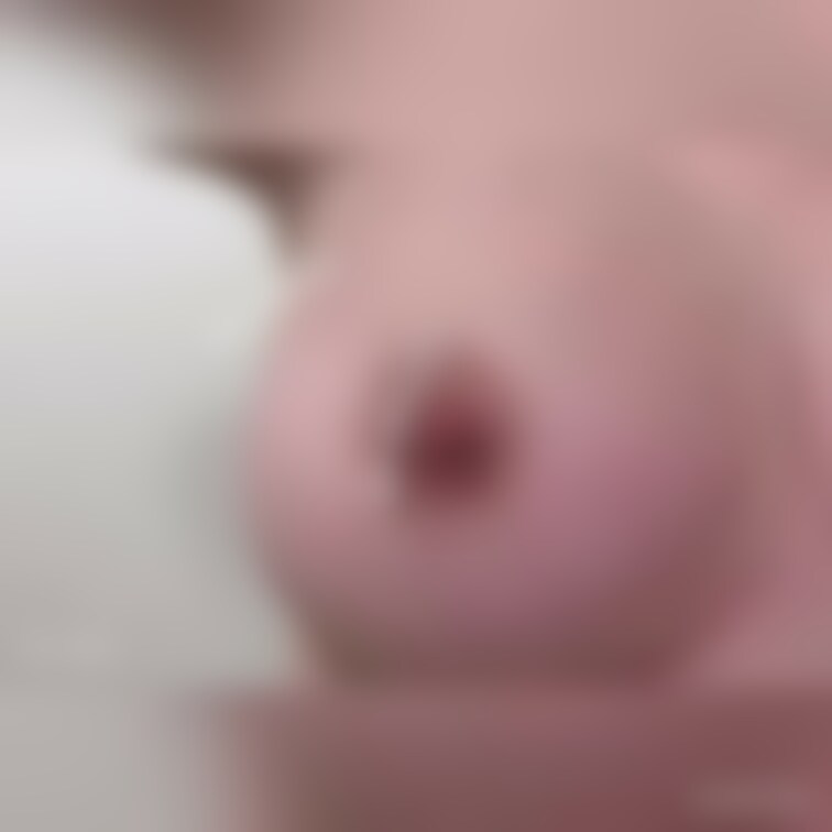 白い液体をタラタラ垂らしてみました...！