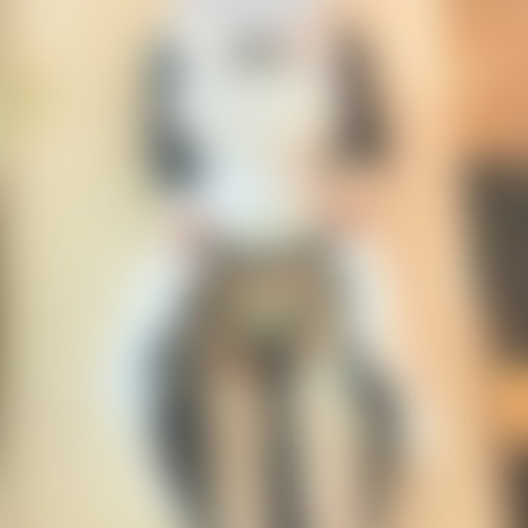 メイドさんの…