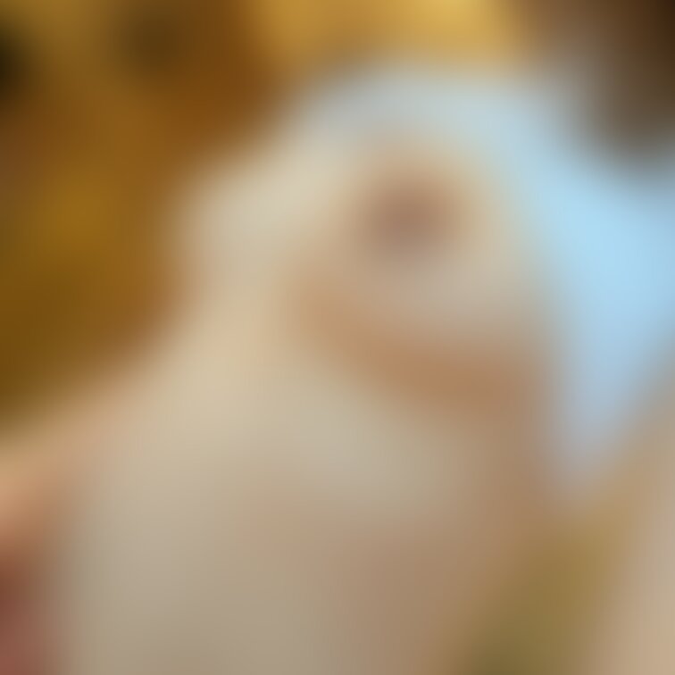 Twitterに投稿した写真です♡
◇しずか奥さま♡秘密の写真プラン📷
◇しずか奥さま♡欲張りお得プラン🎦📷
でご