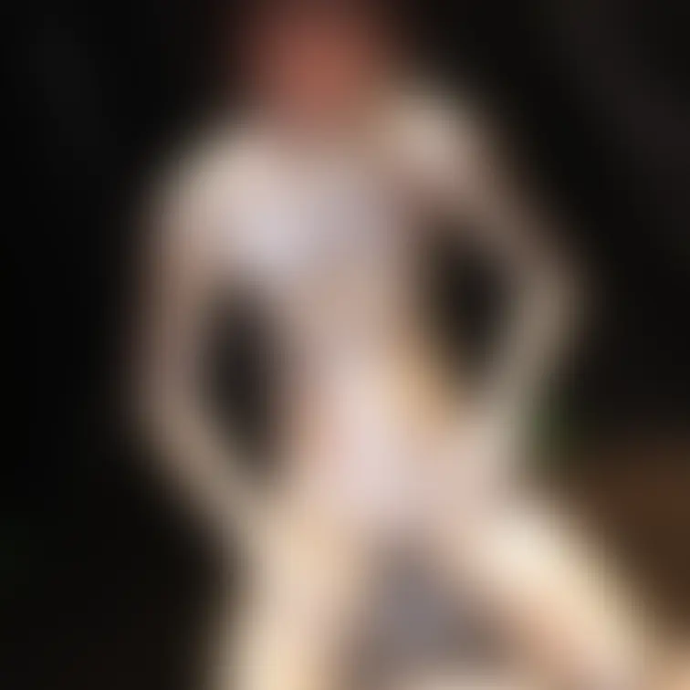 【かわいい系イケメンの銀粉プレイ】
メッシー大好きな可愛い系の男の子が銀粉に初挑戦してくれました!
ドロドロにな