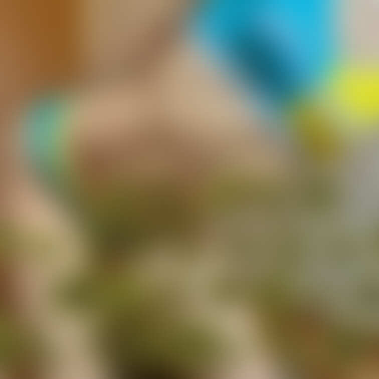 バックトレーニングの見学どうぞー🫣♥️