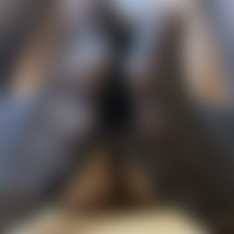 もう写真が臭いよね…