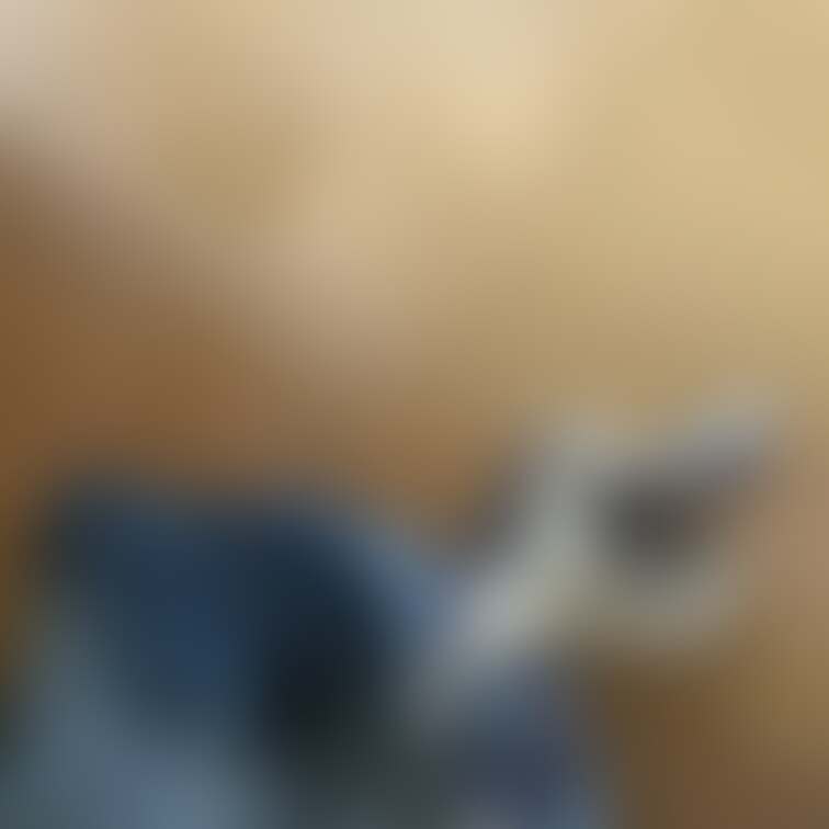 ショーパンおもらしの跡です。いっぱい我慢していたので、おしっこが大量に出ちゃいました。床のおしっこの池を掃除するのが大変