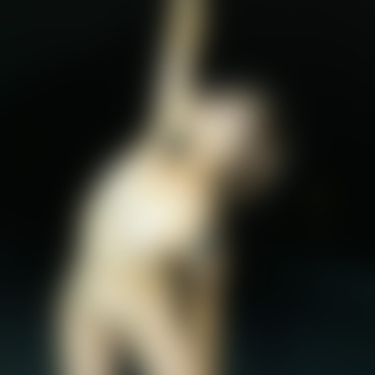 全裸痴女人妻、闇夜のストレッチです🌹