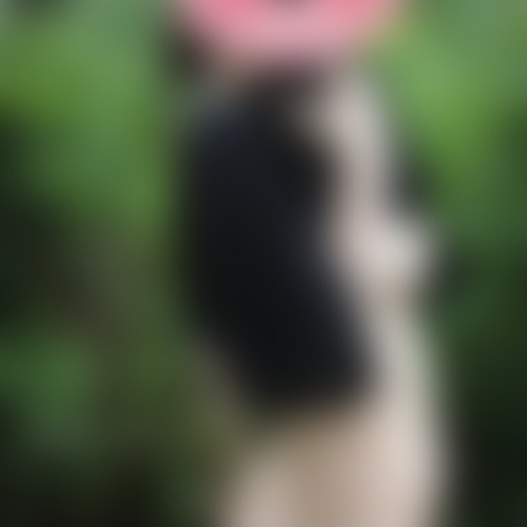 お庭にて