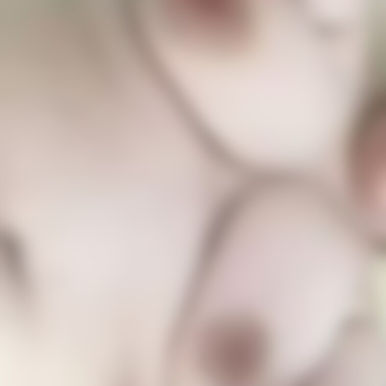こちらでも🤍
