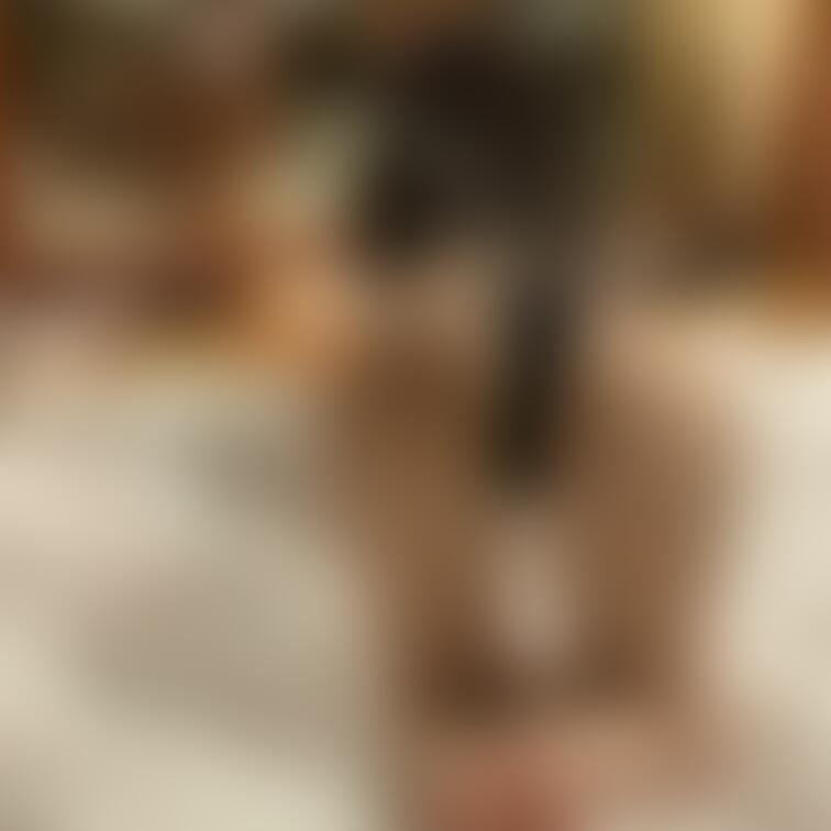 これから㊙️エッチなのどんどん更新するのでよろしくね❤️