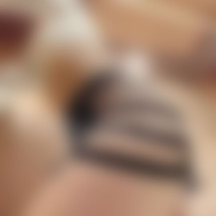 今日はツイート済みのみです🙏