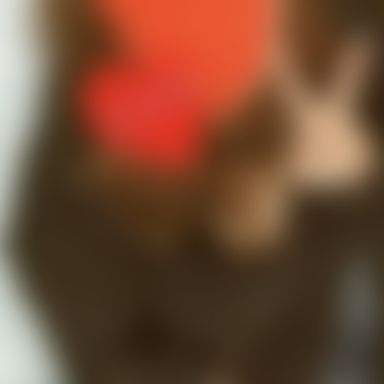 全体図w