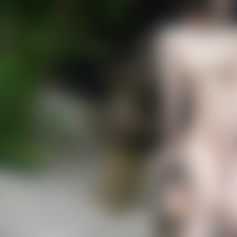 聞こうかと思ってたけど、個人的にはやっぱり夜も昼もどっちにも良さがあってどっちも好き☺️