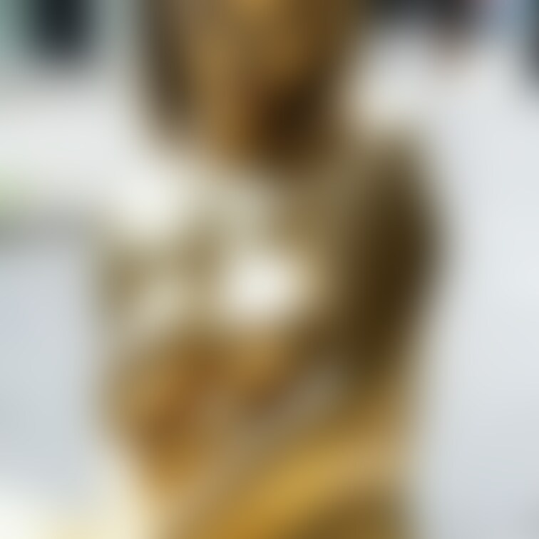 路上露出する金粉美女 / Golden bodypainted girl naked in public part3

