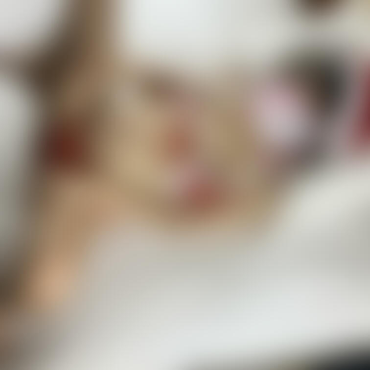クリスマスプレゼント🎄
サンタ妊婦せりなちゃん画像集　その2🎁