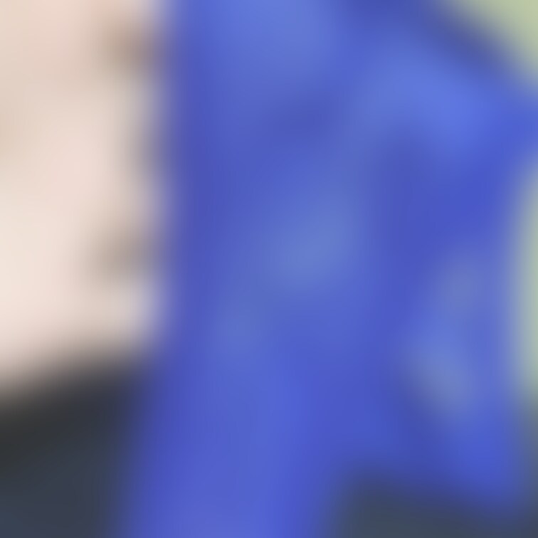 BLUEぱんてぃ💙