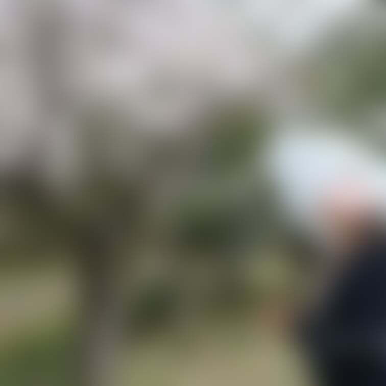 花見露出の帰り道、公園によってみたらここも桜が綺麗だったので小雨がパラつく中撮影😍

横から見るおっぱい綺麗でした✨