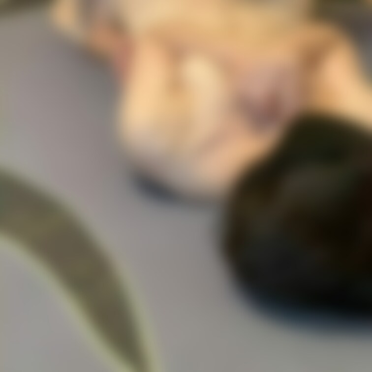 前戯です😊
妻はクンニが大好き😘
乳首も触ってあげるといきそうになります😅

単品販売もあります😃