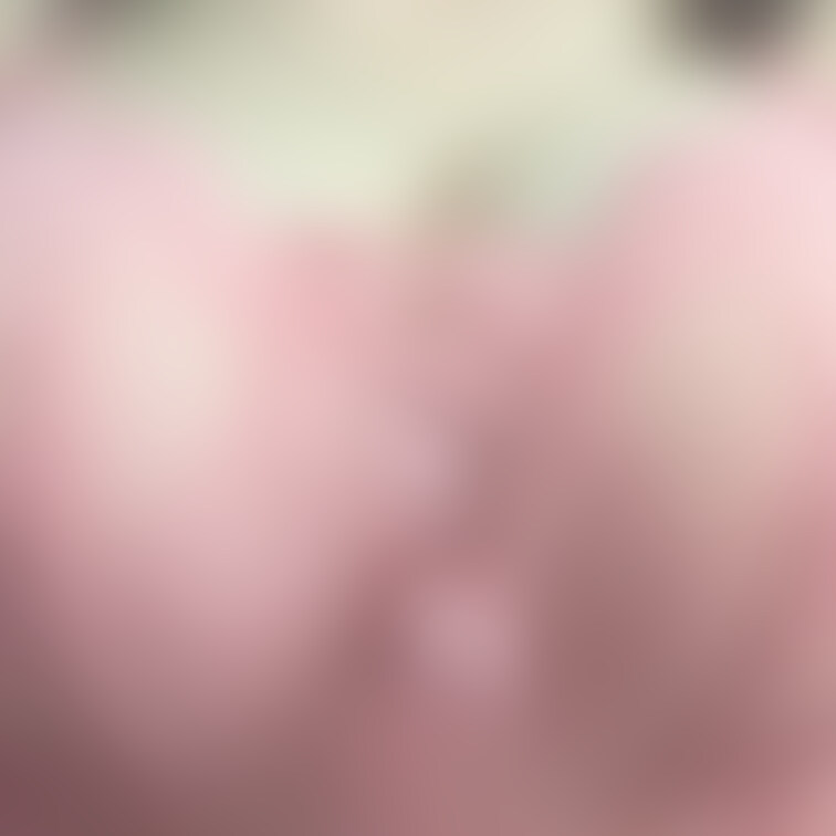 No.009
○○○君に盛り過ぎって言われたブラだよ♡（第4弾）

「ただでさえおっきいのにこれ以上大きく見せる必