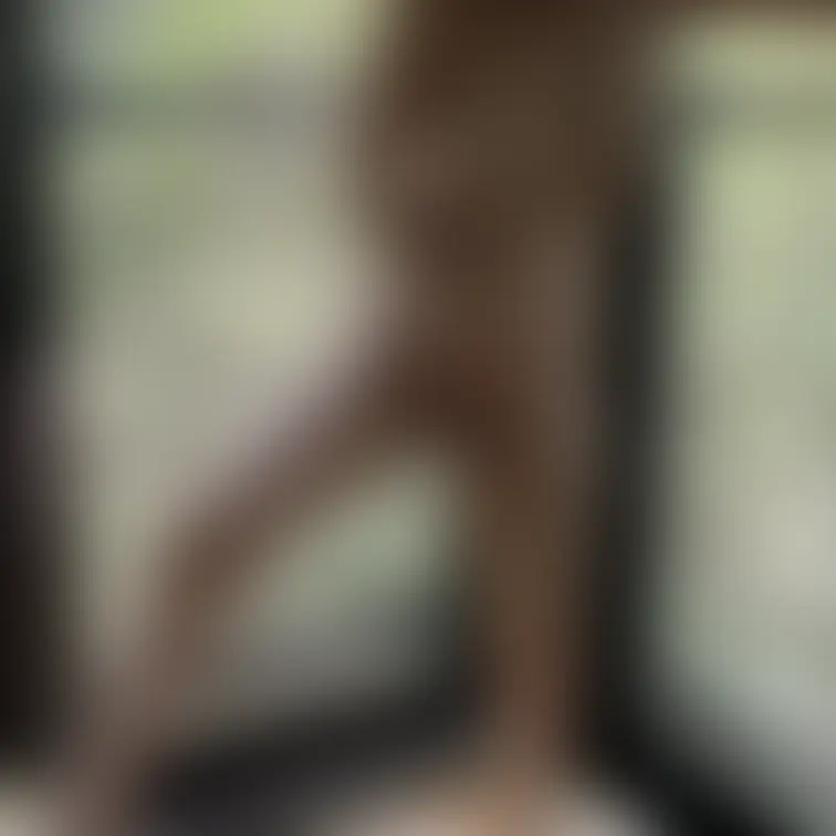 YouTube撮影中にオナニー
動画はプレミアムプラン➕にて公開中