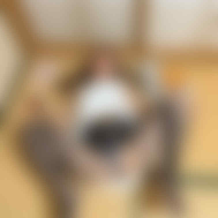 イタズラしちゃう..?🫣