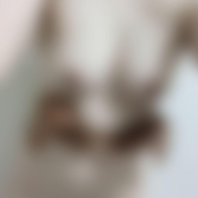 おっぱいおっぱい