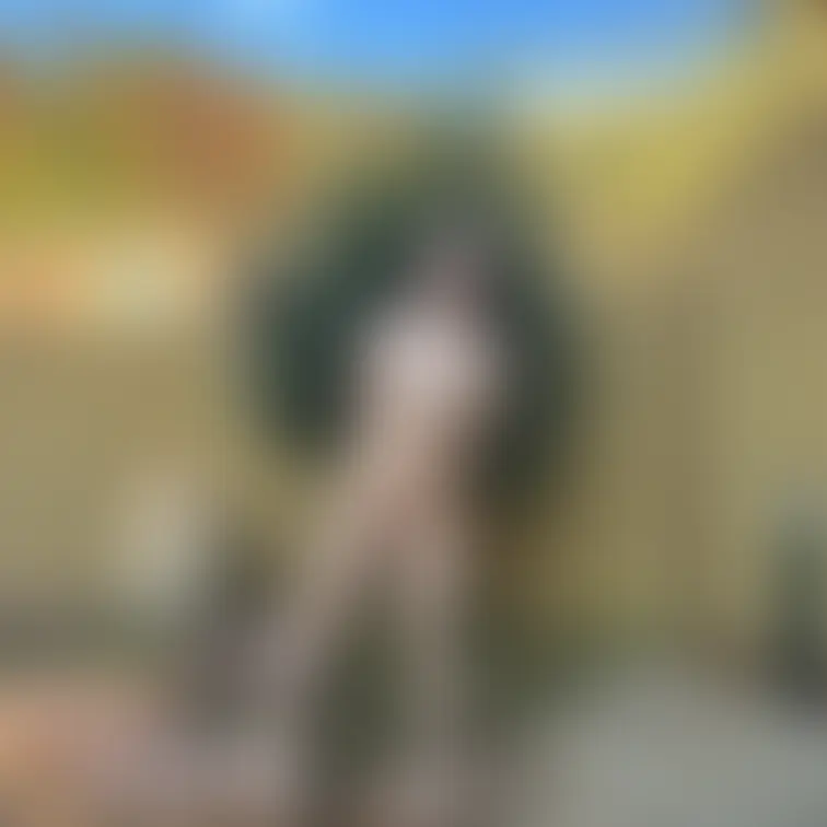 お風呂🥺1/2