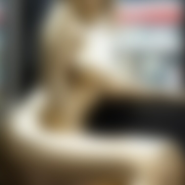 電車の金粉美女 / Golden bodypainted girl riding train (part 2)
