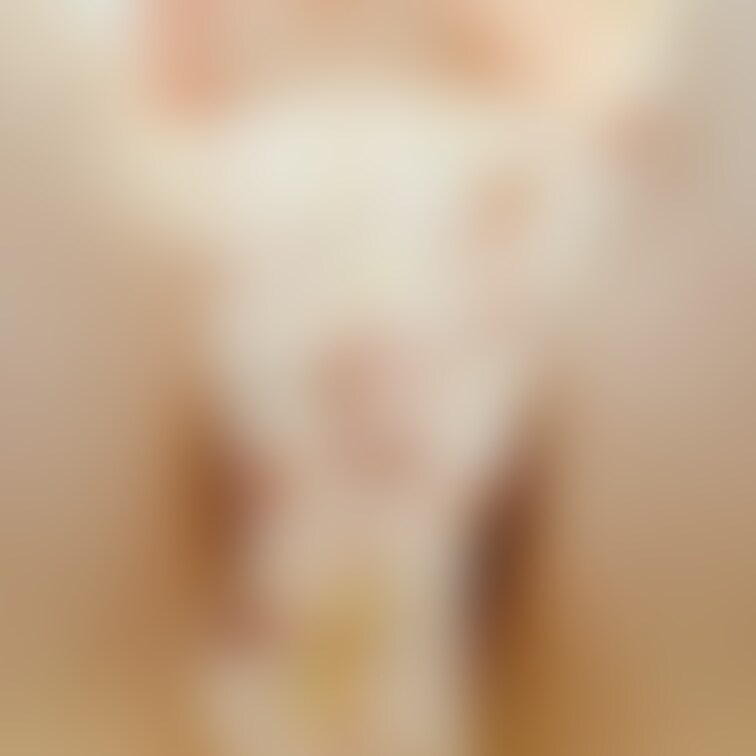 下から