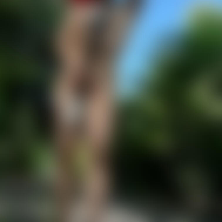 太陽の下の痴女露出🌹