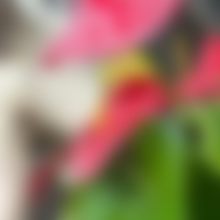 おはようございます❤️