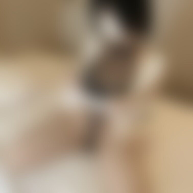 この衣装超かわいいのに動画だとあんまり全貌が見えなくてさみしかった🥺笑
めくってもすけすけなのよん


