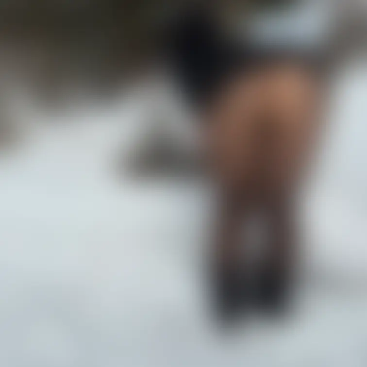 雪だるま⛄️作ろう〜♫

小さな妖精☃️を並べる🍑の妖精🥰