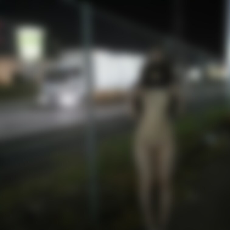 楽しい☺️
