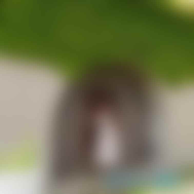 過去の削除写真の再投稿です。（2023年9月投稿）
ラピュタの世界で・・・⑪