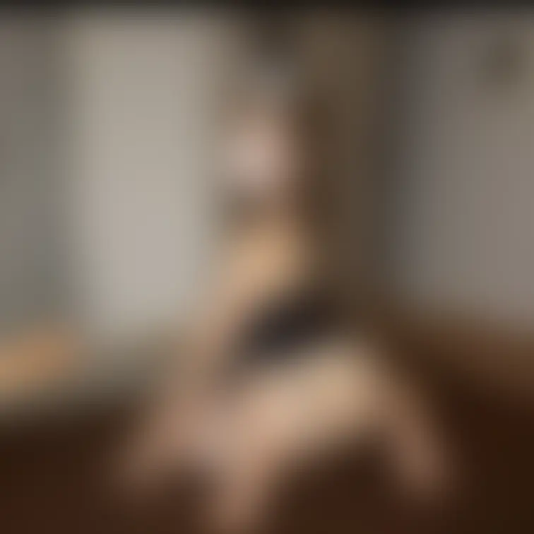 本日は都合により、動画投稿をお休みさせていただきます。
楽しみにしてくださっていた方には申し訳ありませんがよろしくお願