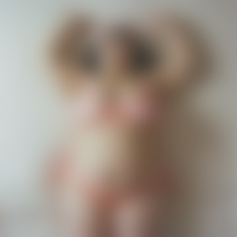 ぶたさん