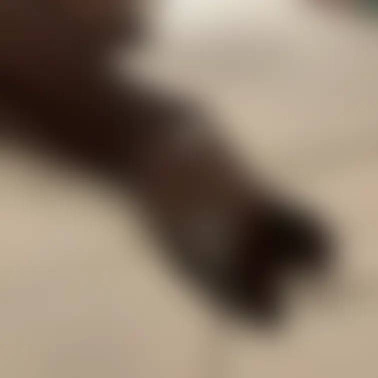 すごい出たね