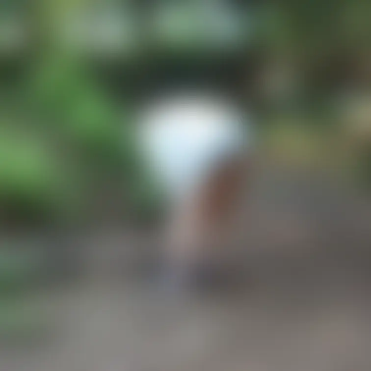 ここを見てくれている人に需要があるかわかりませんが、SNSなどでの宣伝用に着衣の写真も少しだけ撮っています。