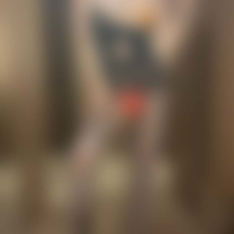 こんばんにあ〜❤️


今日のにあはちょっと大人っぽい感じする？？❤️


三連休の中日（なかび）だし、
