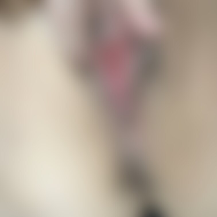 久しぶりにお触りしました。