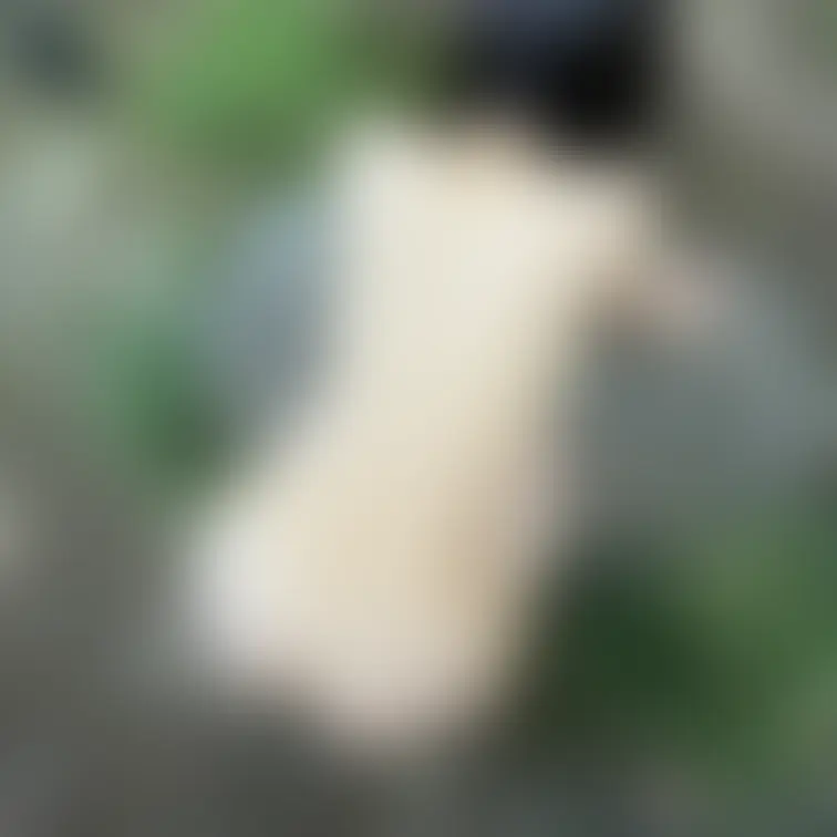 全裸露出でおしっこかけて頂きました、、♡
💋全ての顔出し画像、動画が見れるのは
『肉便器りあ超お得プラン』です