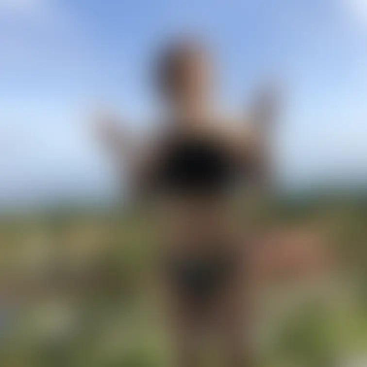 沖縄にて開放的になってる様子です。
ビキニだとちっぱいな事もあり、幼く見えます。