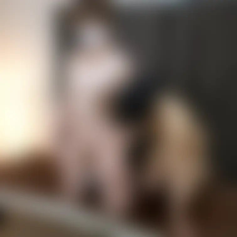 ★いいね👍🏻を押して応援してください★

Relaxation＆Spa【猫の手】です。

本日も心を込めて営業中