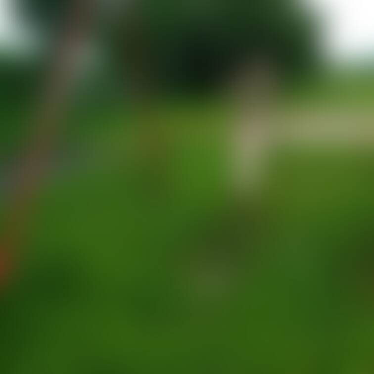 昼間の公園に撮影行って下着姿でブランコに乗る妻の姿です。
