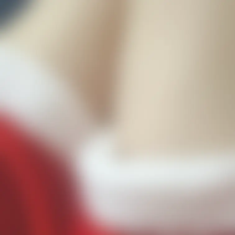 セクシーサンタがあなたのところへ伺います🎁