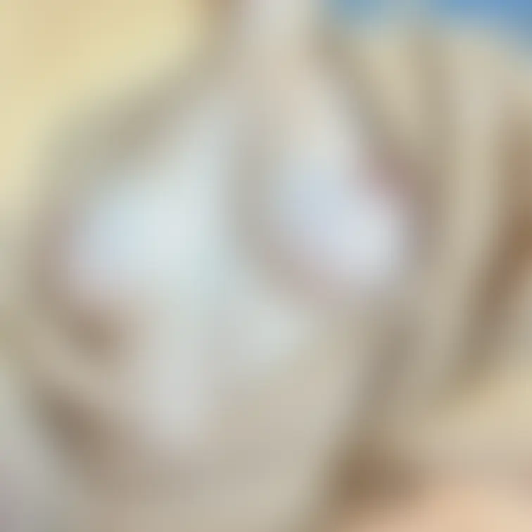 下からおっぱいです。