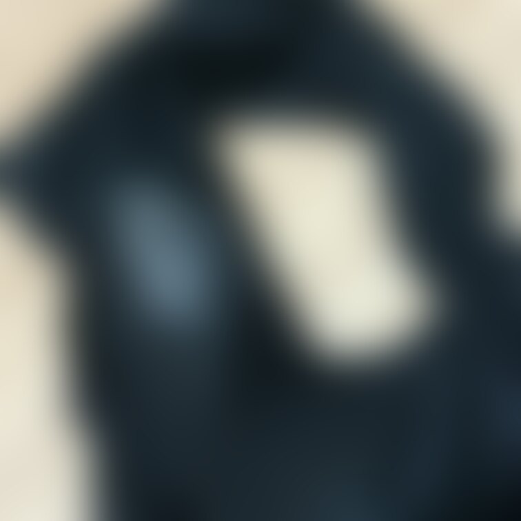 過去pic
