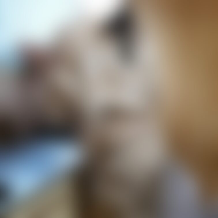 弥生さん。今月1/25に混浴オフ会を予定してますが、その前にお尻画像三連発をどうぞ。

美尻ヌーディスト弥生hard