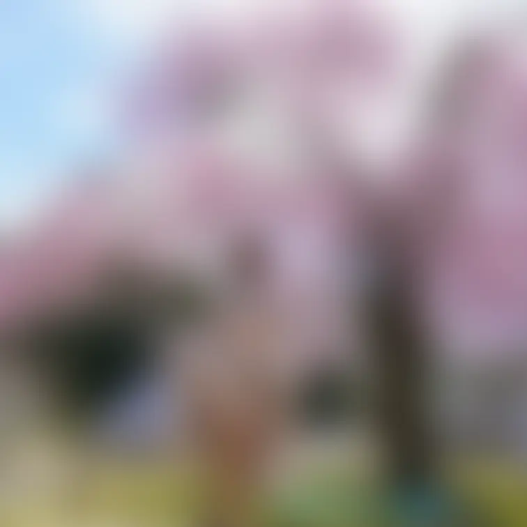 素敵な桜の前で・・・