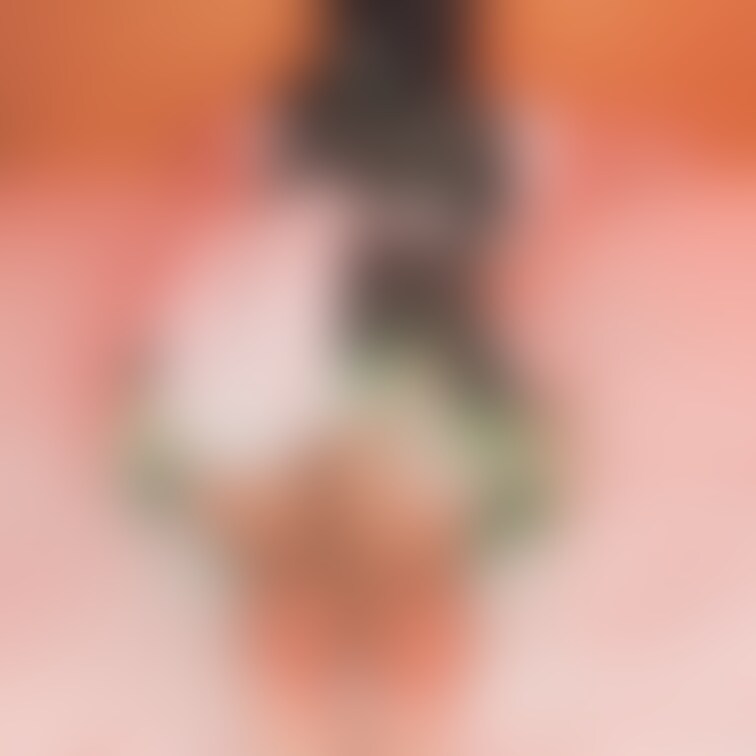 メイド服＋四つん這い＋バック

最強の組み合わせでしょ☺️
攻め方も無限大
Twitterでの反応だと、スカート