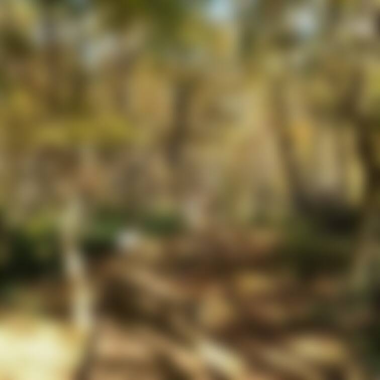 【庭園でオナ編】※特別プラン
とある庭園を露出散策中、ついでにオナで発散🤭