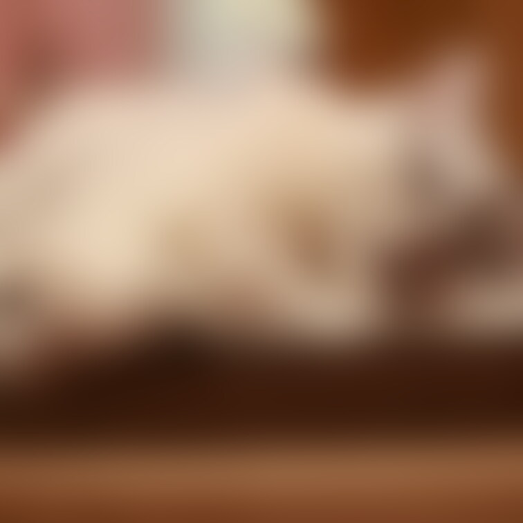 あいりちゃんくっきーちゃんと!
水飲み敗北100発すぱんきんぐ😢
↓↓↓パスワードは画像みてね
https://3